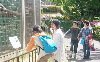 遠足